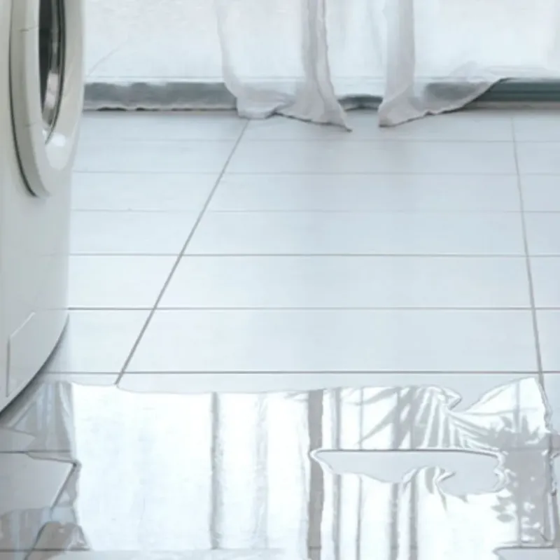 Appliance Leak Cleanup in Starkville, MS
