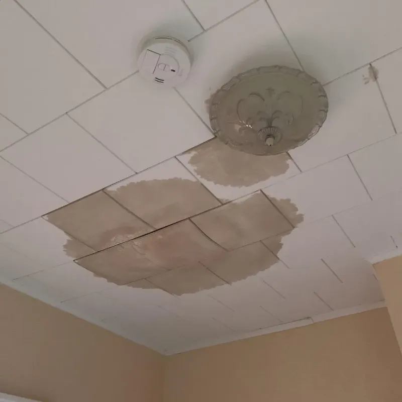 Ceiling Water Damage Repair in Starkville, MS