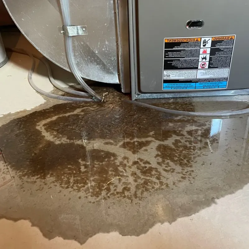 Pipe Burst and Leak Restoration in Starkville, MS
